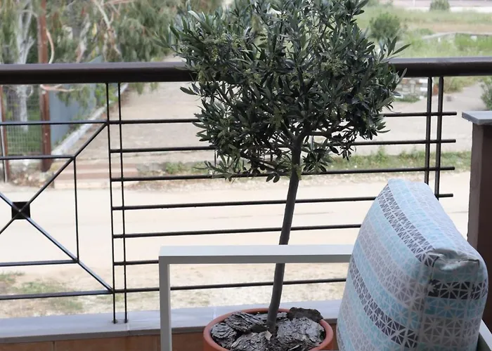 迈特密别墅 别墅 *