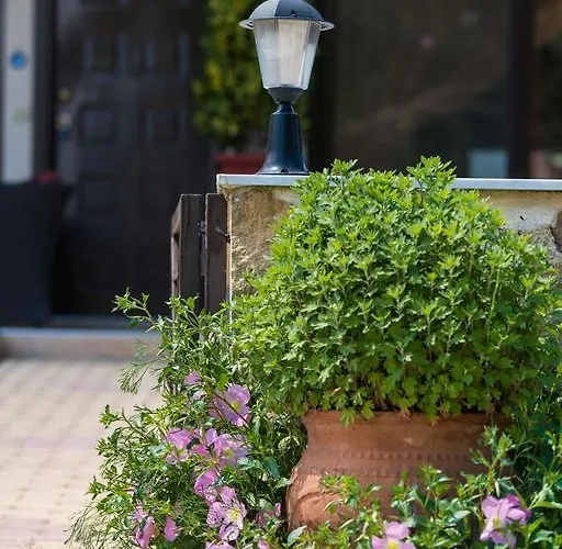 迈特密别墅 别墅